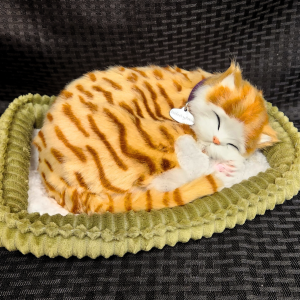 58. Perfect Petzz Orange Tabby Cat